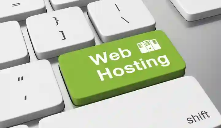 Server Savvy: A Deep Dive into the Best Web Hosting Services