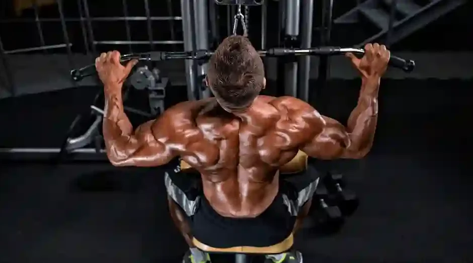 Muscle Building