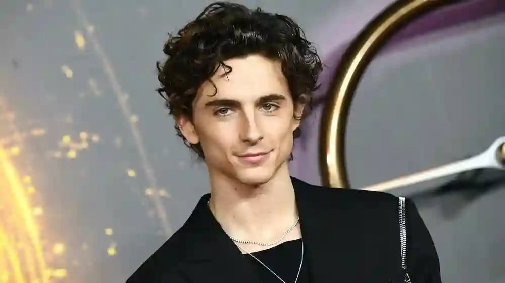 How Tall is Timothée Chalamet – Real Height and Acting Credits